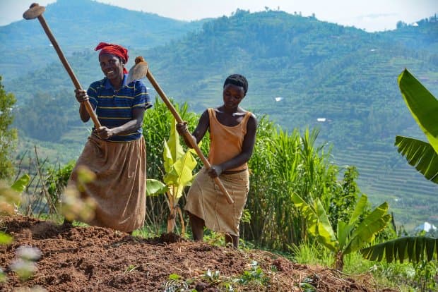 USAID launches Sh28bn project to help over 200,000 Rwandan farmers improve crop yields