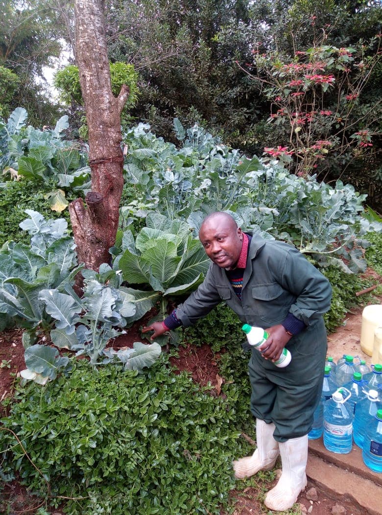 NGO launches new multi-purpose product that improves soil fertility, crop yields and boosts livestock feeds
