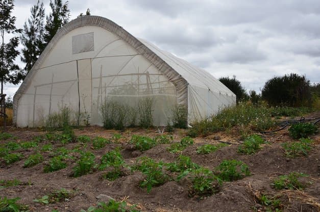 Former town boy harvests millions farming in arid area