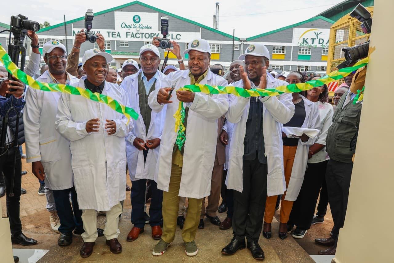 Kenya Eyes North Africa and North America Tea Markets