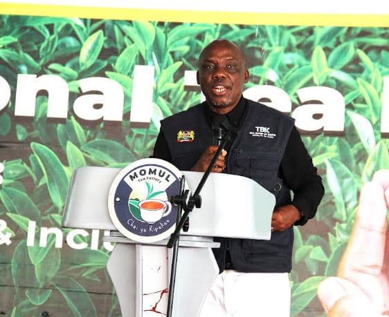 Government pushes Sh4.5 billion tea modernization to boost farmer earnings