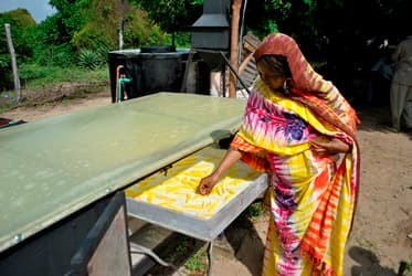Hybrid solar & drier saves farm post-harvest losses