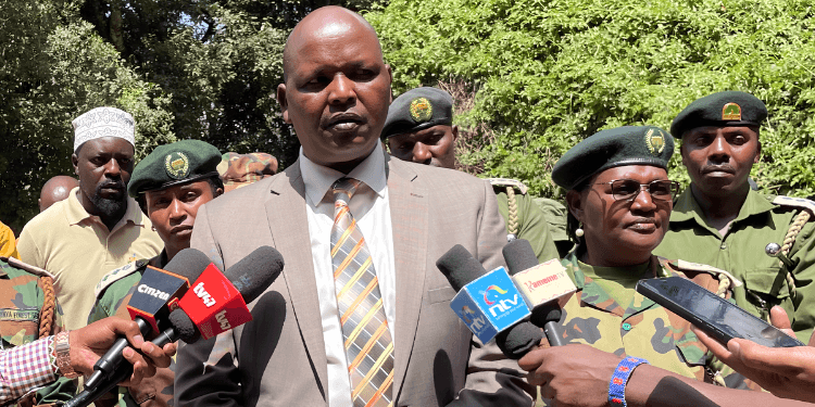Hunt for Suspects Begins After 350 Trees Were Destroyed Overnight in Gazetted Forest