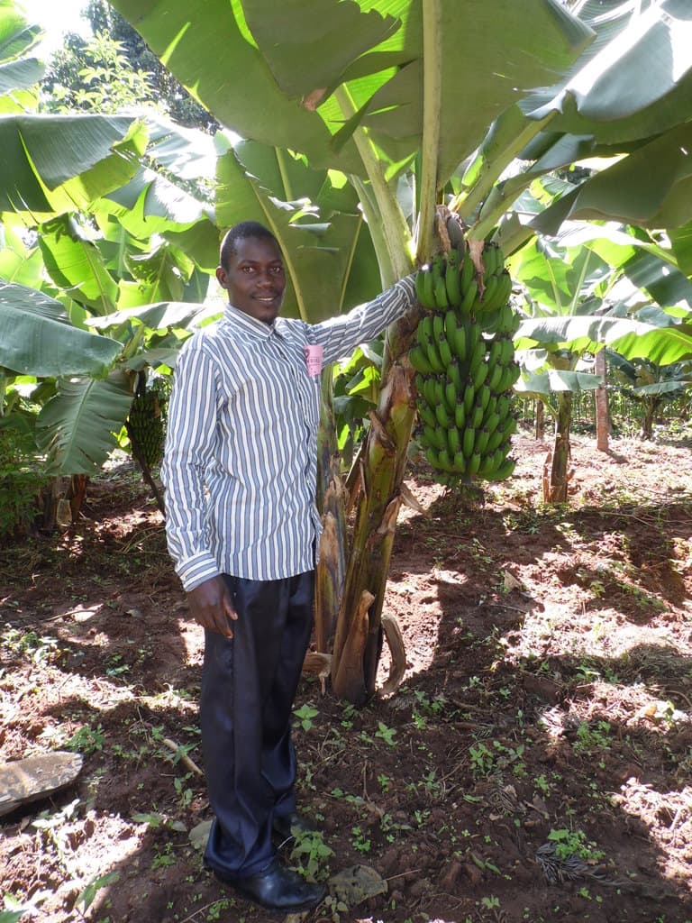 Agreprenuer earns twice from ripening other farmers’ bananas