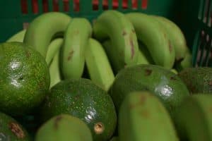 Kenya’s mobile-based food delivery firm aims to connect more African farmers with buyers
