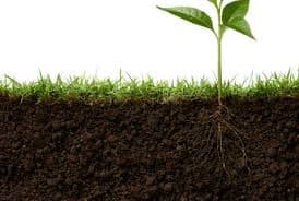 Kenya steps up to UN year of soils