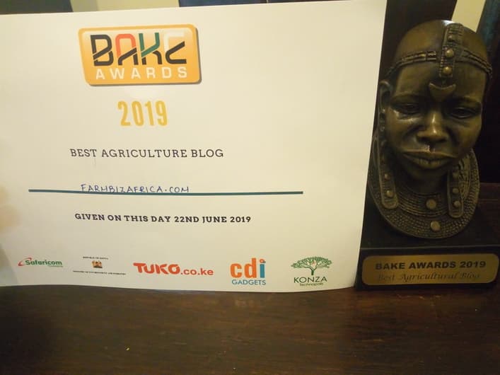 Farmbiz Africa wins 2019 BAKE Awards’ Agriculture Blog of the Year