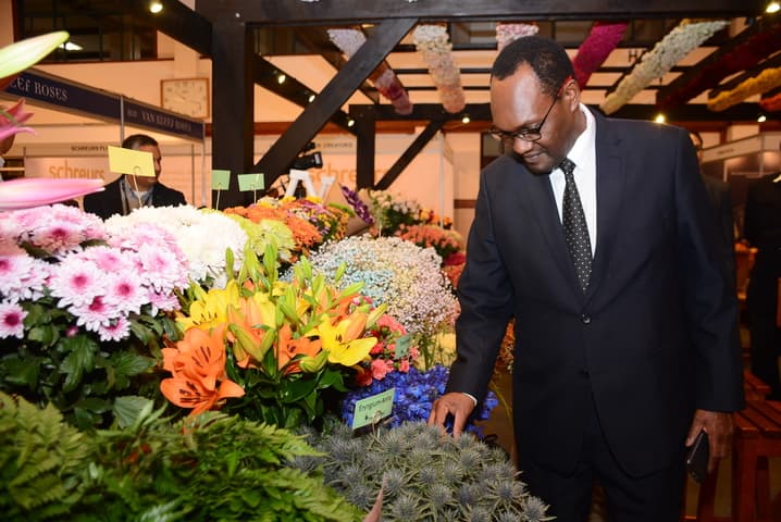 Increased demand for Kenyan flowers in the US excites producers and exporters