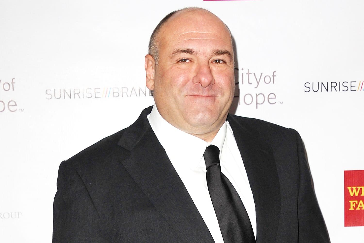 What Is James Gandolfini Net Worth?