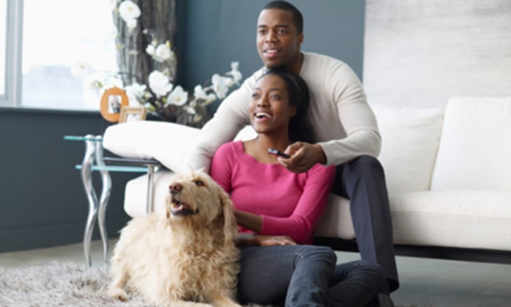 Transforming your house into a home with insurance