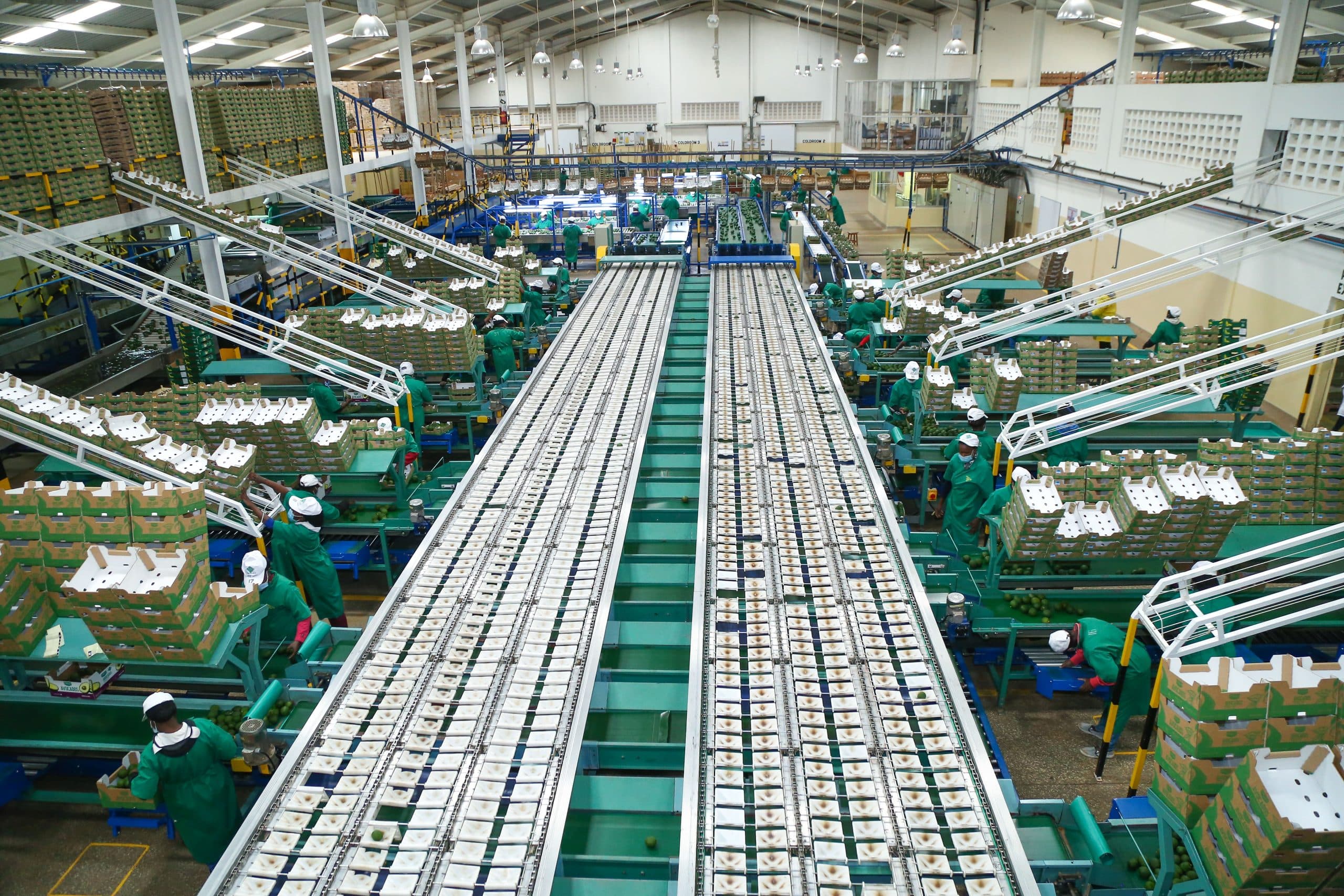 Kakuzi Workers to Get 15% Pay Rise Under New CBA
