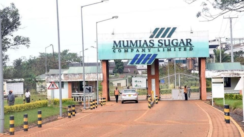 KRA demands Sh3.5 billion unpaid taxes from troubled Mumias Sugar