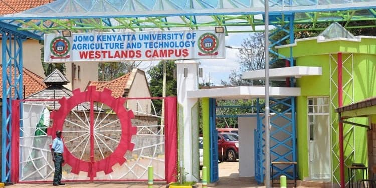 How to Pay University Fees in Kenya 2026: Bank Details, HELB, M-Pesa and Installment Options