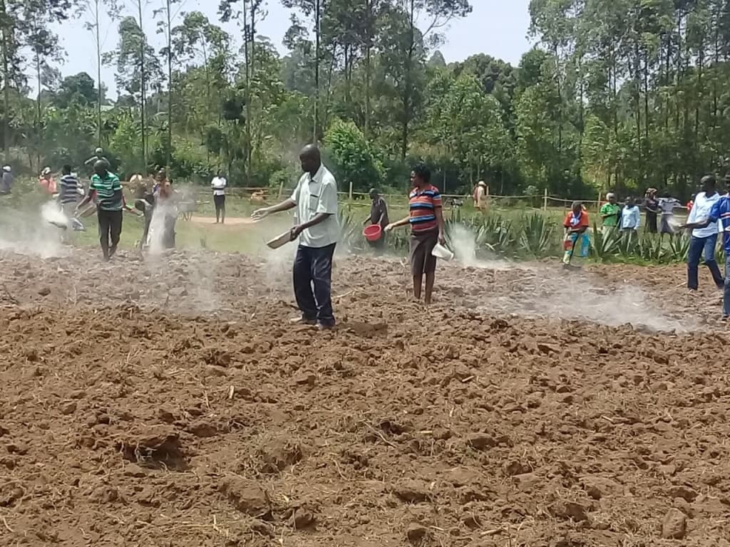 Factory gives Nyanza farmers free lime for soils