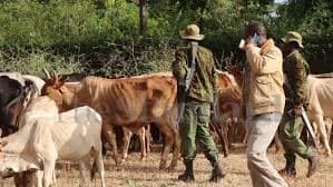 Two bandits killed in foiled livestock raid in Isiolo