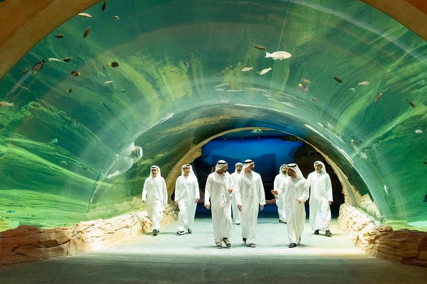 Inside SeaWorld Abu Dhabi: Engineering the World’s Largest Indoor Marine Coral Ecosystem