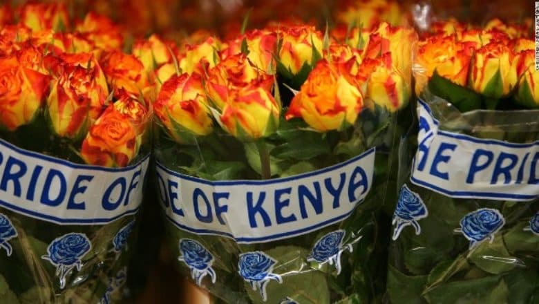 Pioneering green technology could tackle Kenya pests and pathogens