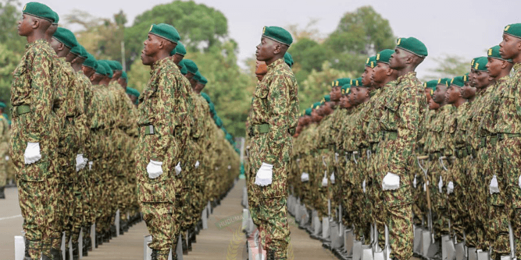 NYS Publishes Shortlist for Cadets in Ongoing Countrywide Recruitment: What to Do Next