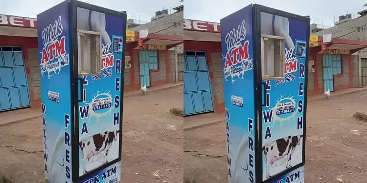 Why Some Milk ATM Businesses Fail in Kenya and How to Avoid Costly Mistakes