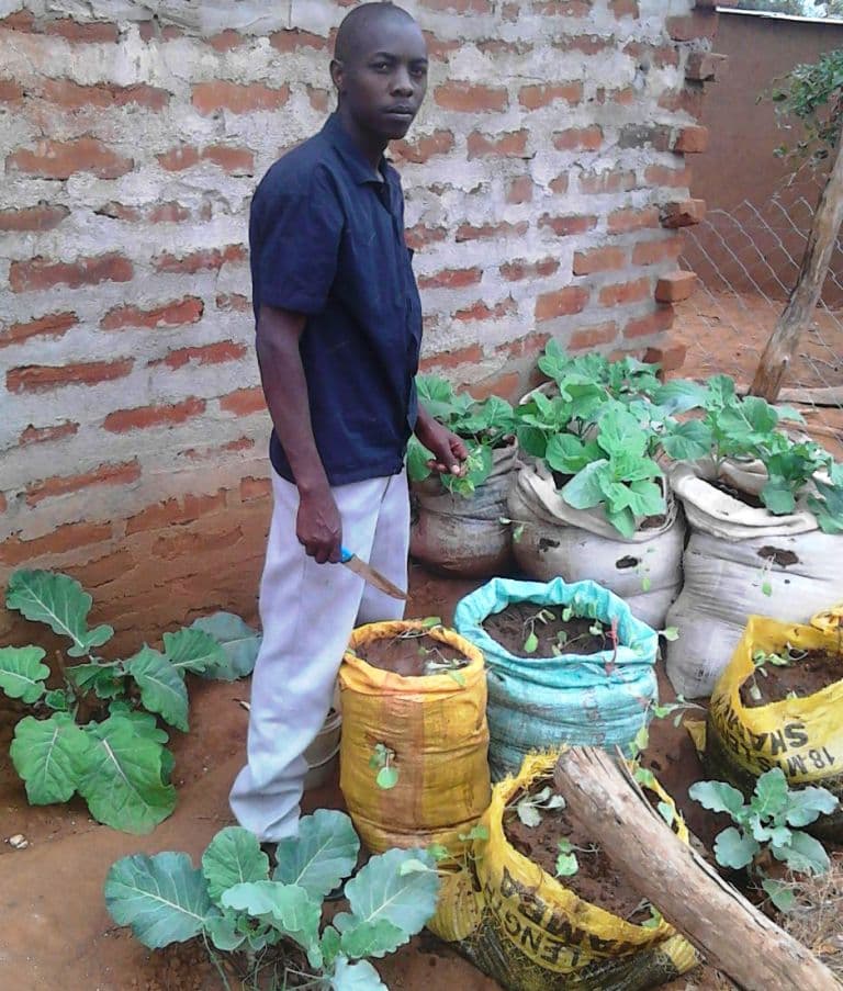Vegetable sacks enable Kitui farmer meet domestic needs