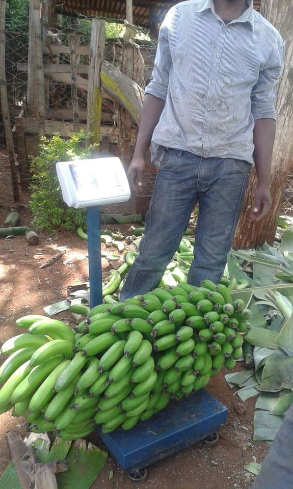 Nairobi agritech links farmers directly to large produce buying companies