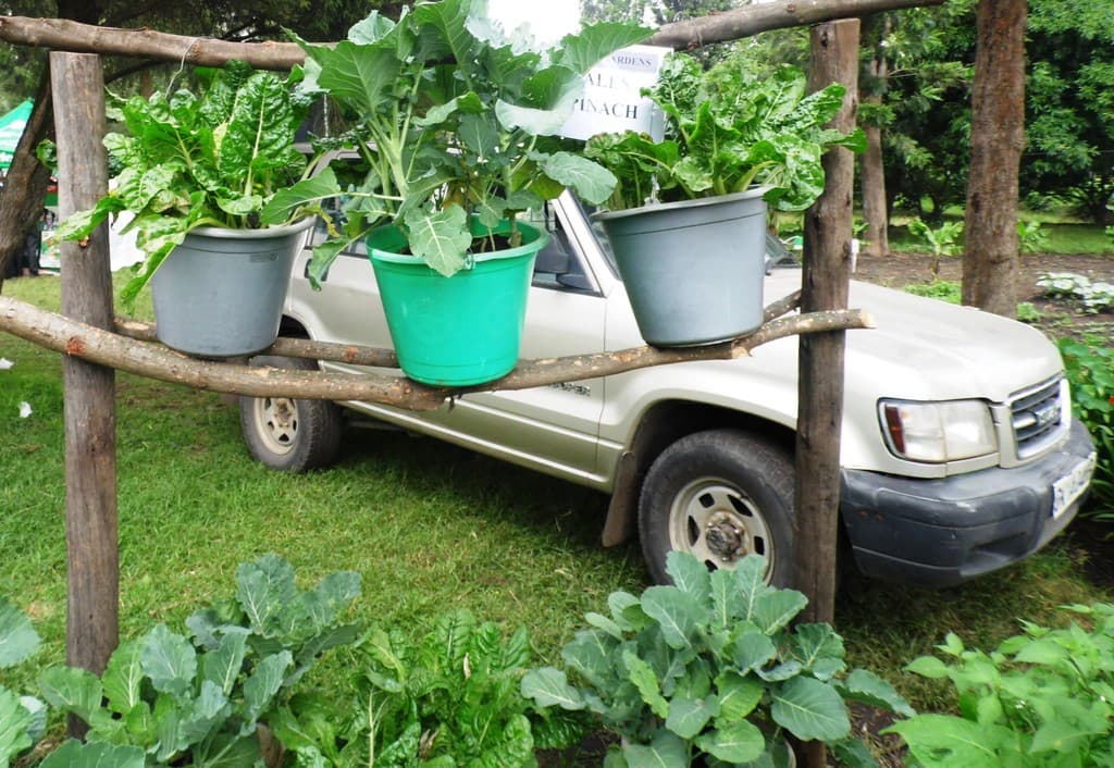 Parachute farming saves urbanites over Sh1,000 vegetables expenses