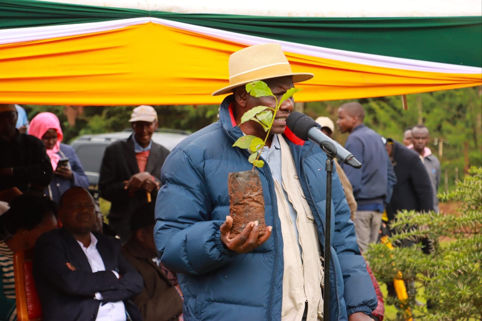 Governor Bii launches distribution of 157,000 coffee seedlings to farmers