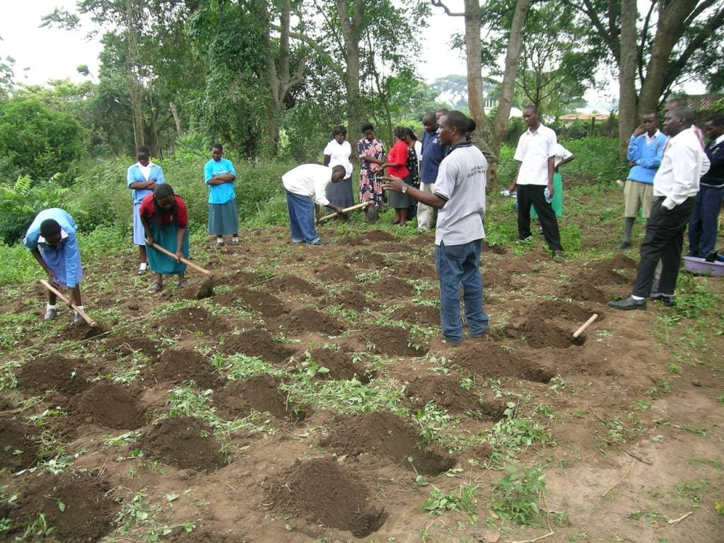 Farmer clusters point potato farmers to stable markets