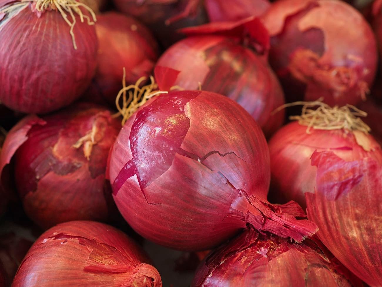 Onion prices to decrease with increased local supplies & Ethiopia imports