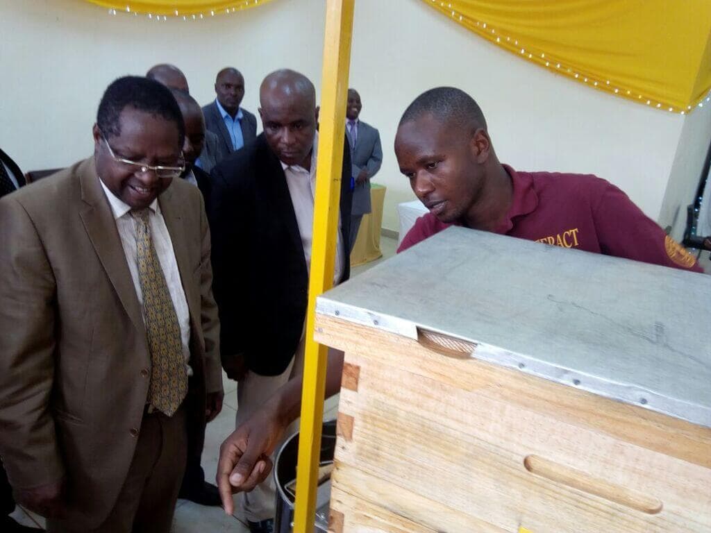 Youth turns beekeeping hobby into a Sh700,000 agribusiness venture