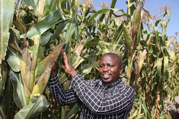 World Food Day knocks as Kenya is said to be in good position to become food secure by 2030