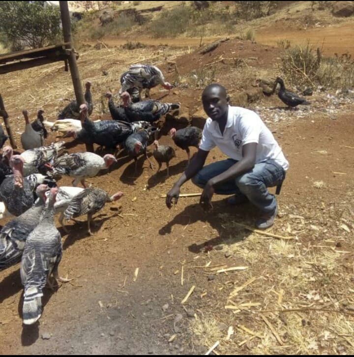 Kisumu teacher builds model mixed farm with little savings