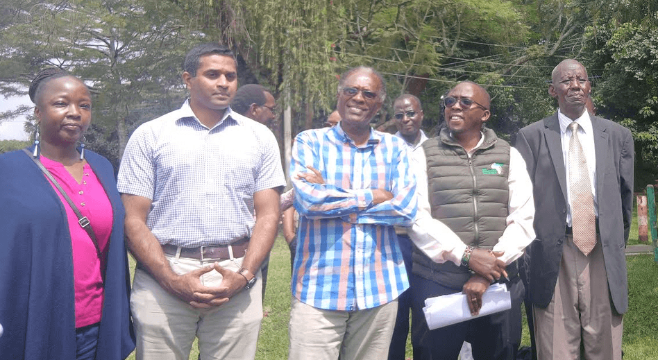 Conservationists call for protection of existing forests