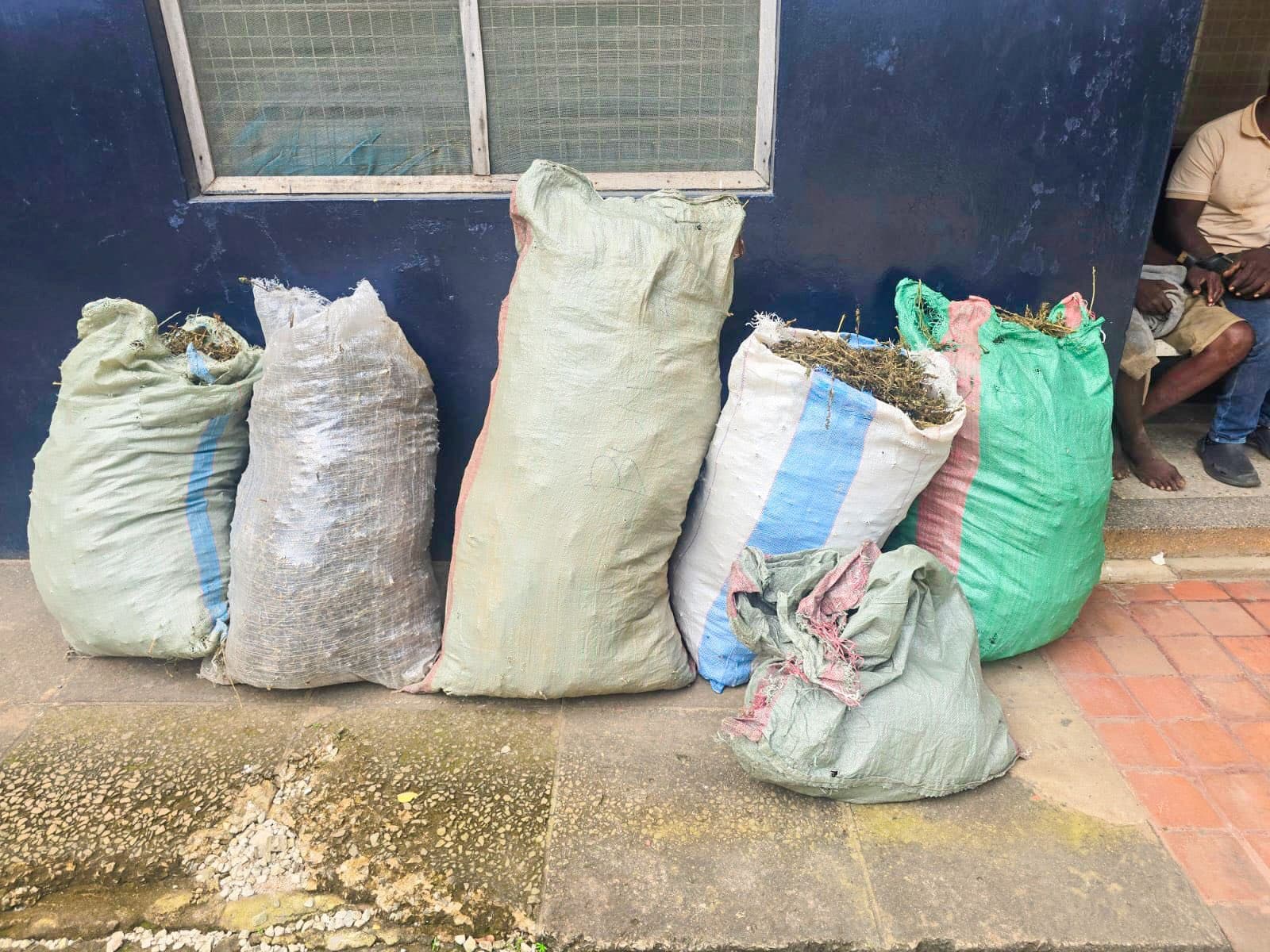 Two arrested, 200 kilograms of cannabis recovered in Malindi
