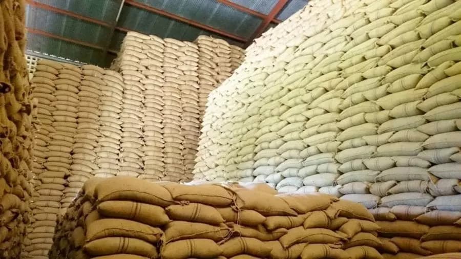 Njoro farmers initiate receipt system giving growers better prices & credit