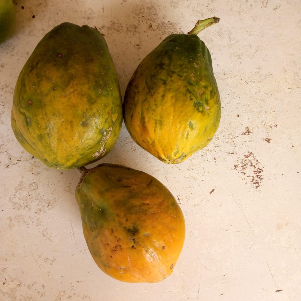 Fresh fruits buyer and supplier looses tender rules to offer market to all producers
