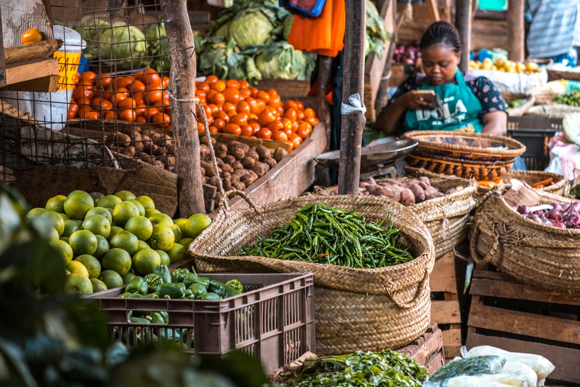 World Vision statement on World Food Day 2024