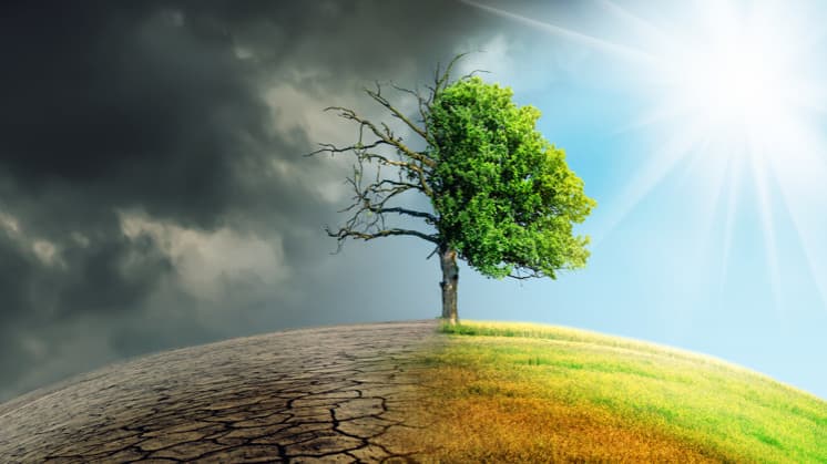 How we can leverage technology for a greener world