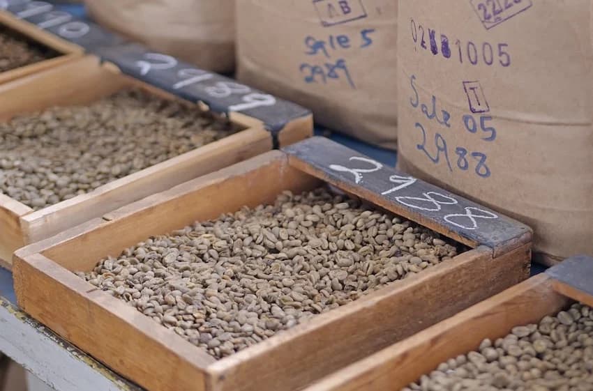 Coffee Prices Up 3% at the Weekly Auction