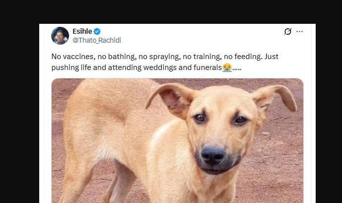 The Trending Memes in Nairobi This Tuesday