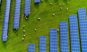 Oak Run Solar: The Largest Agrivoltaic Farm in the United States