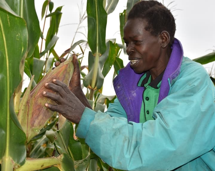 Seeds of hope transforming lives in northern Uganda