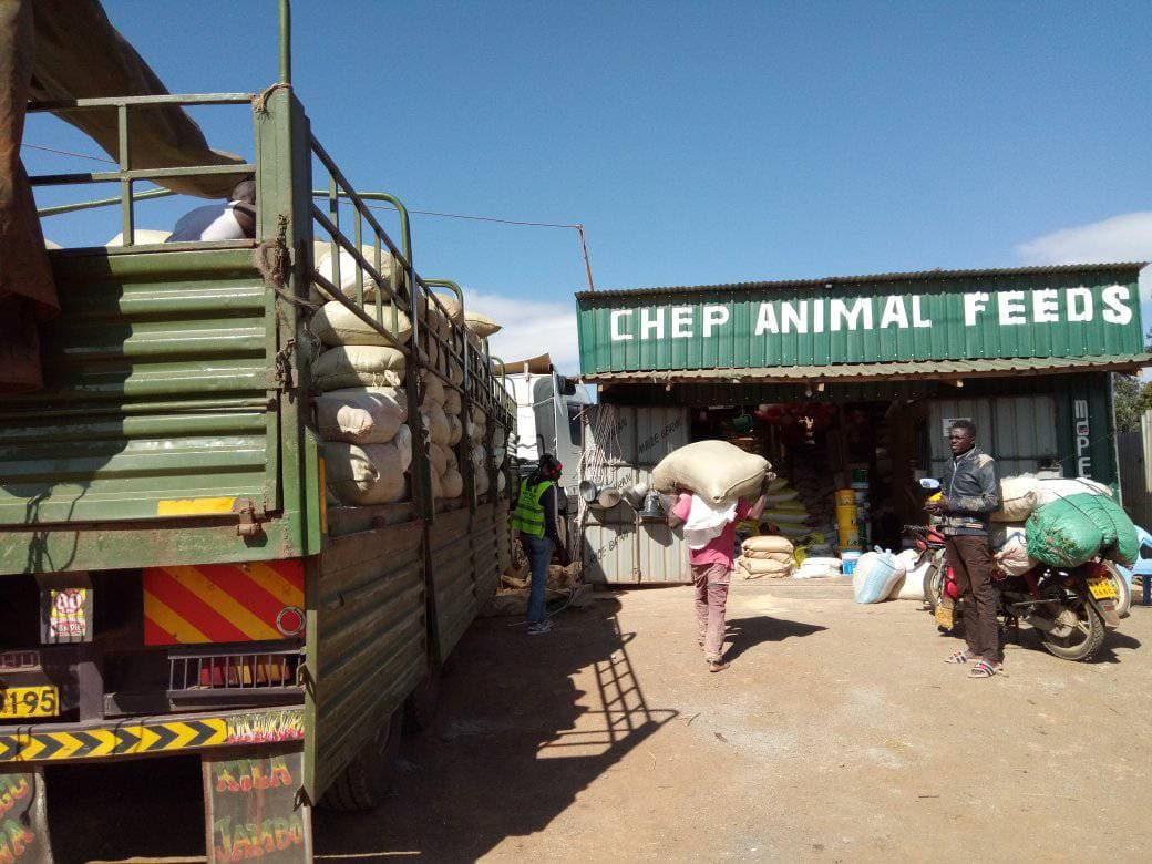Maize shortage & new taxes predicted to drive up feed cost