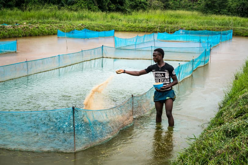 Youth from Eastern, Central and Western Kenya regions to benefit from Sh14bn fund for fish production to curb deficit