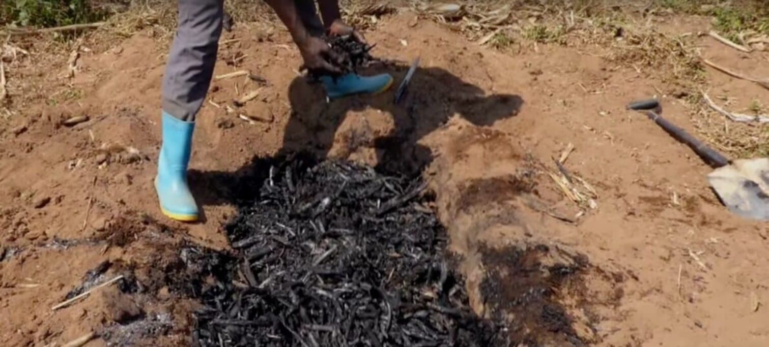 Make Biochar, increase your yields 2x