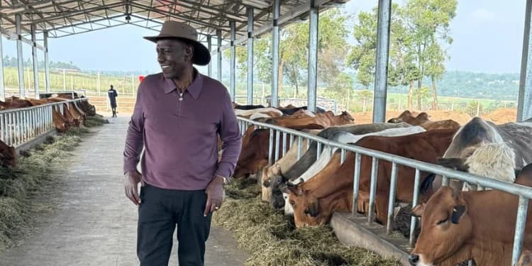 President Ruto’s Wealth Profile: Businesses, Hotels, Farms and Properties Linked to Him