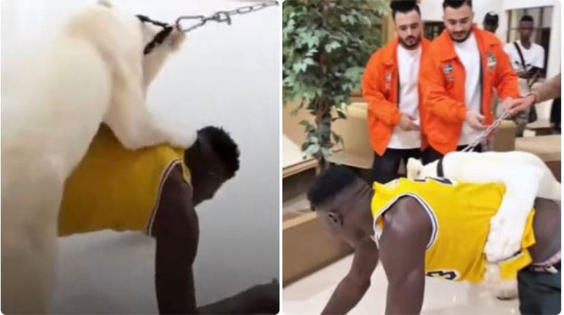 Gen Z Goliath Speaks Out After Controversial Lion Video in Dubai