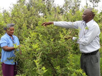 East Africa’s dilemma in feeding billions as climate change crisis looms