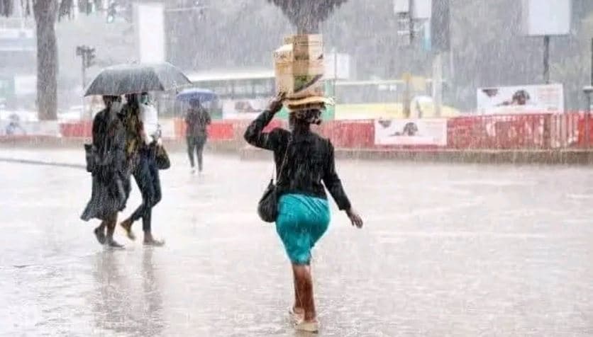 Kenya Long Rains Forecast Signals Brief Dry Spell Before April Downpours