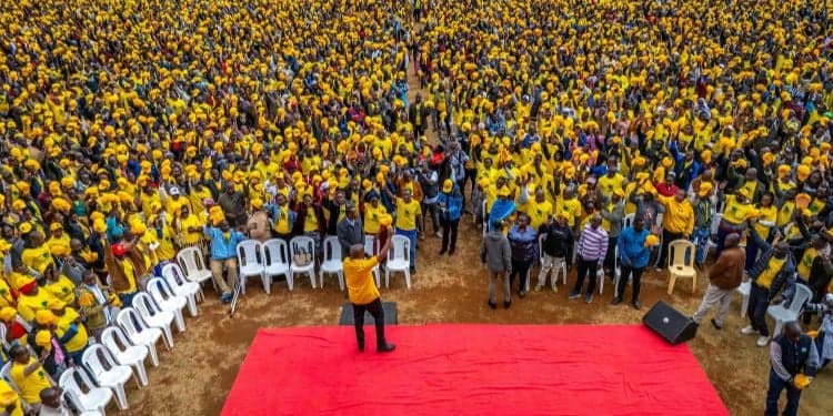 Drama at UDA Meeting as Delegates Chant ‘Wantam’ Demand Money